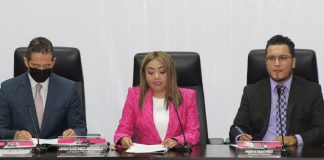 La mujer en la función pública .