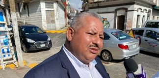 Cultivos de caña de azúcar y sorgo afectados por plaga de langosta en Veracruz