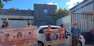 Liberaron a agresor de sobreviviente de feminicidio y teme por su vida .