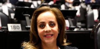 Si PAN comprueba que puede segurar la seguridad retiro mi iniciativa: dip. Yolanda de la Torre