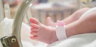 Urgen en el Senado hacer obligatoria aplicación de tamiz metabólico neonatal .