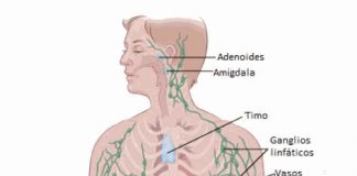 Linfoma de Hodgkin puede ser curable #Conocelo