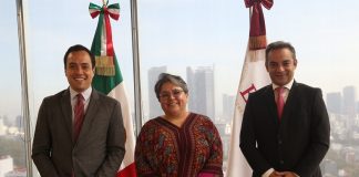 Buenrostro nombra a hijo de Encinas para sustituir a Luz María de la Mora .