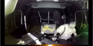 SEGURIDAD INSEGURA EN CARRETERAS Y CIUDADES .