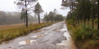 Pobladores de El Llanillo demandan pavimentación de carretera .