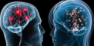 ¿La ciencia puso el binarismo en nuestros cerebros?