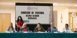 Buscan que la Ley de Vivienda se aplique con perspectiva de género .
