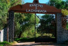 La licencia de Rocha .