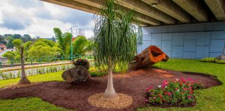 Recupera Medio Ambiente espacios públicos. #Xalapa