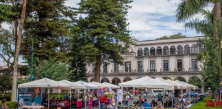 Inicia Feria de la Salud en el parque Juárez.
