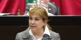 Deducir pago de honorarios por servicio médico veterinario para animales de compañía, plantea iniciativa .