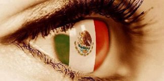 La crisis política y de inseguridad más grave de la historia y nadie reacciona. #MéxicoMeDueles