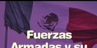 Estos fueron los posicionamientos en Senado por permanencia de Fuerzas Armadas .