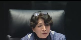 La senadora @delfinagomeza y el senador @ramirezlalo_ organizaron foro por el bienestar animal.