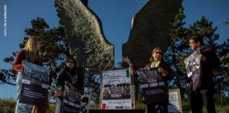 Denuncian desapariciones en Veracruz ante la Corte Penal Internacional