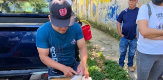 Productos de trucha realizaron una venta a menor costo en Xalapa