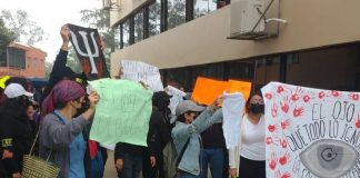 La UV y la violencia de género .