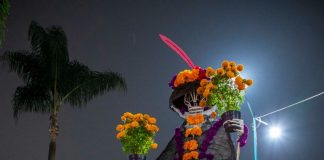 Llega el aroma a cempasúchil a Xalapa .