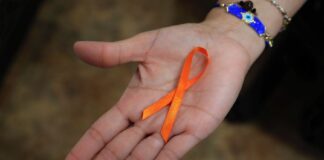 Concierto con Causa del IMMX entregara donativos a mujeres víctimas de la violencia #25N #Xalapa