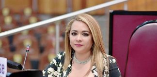 Reacomodo de comisiones no debe ser ni por capricho, ni por recomendación: Citlalli Medellin