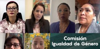 Buscan visibilizar la Violencia contra las Mujeres iluminando el Palacio Legislativo