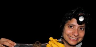 Investigadora UV fue designada presidenta de la AMMAC .