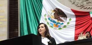 No dejaremos caer al INE : Diputada