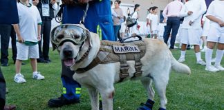 Recordando cuando la selección mexicana le rindió un homenaje a Frida .