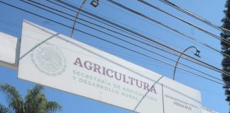 Protestan campesinos ecologistas en Veracruz por recorte a presupuesto del campo.