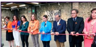 Basta a la violencia contra las mujeres.