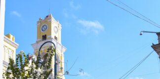 Siembran flor de Nochebuena en el parque Juárez Xalapa, Ver.- Con el fin de contribuir al mejoramiento del espacio público y conservar las tradiciones, personal de la Dirección de Medio Ambiente realizó la siembra de flor de Nochebuena en maceteros del parque Benito Juárez y Palacio Municipal. .