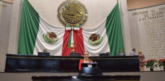 Ante baja del precio, llama Diputada a apoyar a cafeticultores veracruzanos