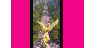 La ola Rosa y Blanca cubrió a México repudiando la regresión democrática y a favor del INE