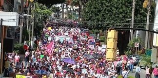 Estas son las ciudades que en Veracruz participarán en la marcha rosa.