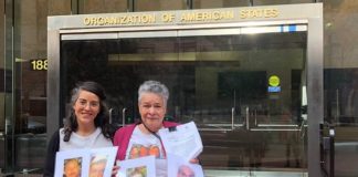 Madre de cuatro hijos desaparecidos en Guerrero y Veracruz presenta petición contra el Estado ante la CIDH