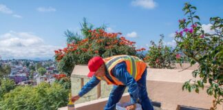 Realizan trabajos de imagen urbana en el parque Juárez #Xalapa