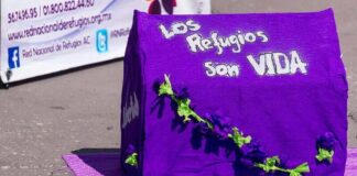 Se invirtió más en el ejército que en refugios para mujeres: Intersecta .