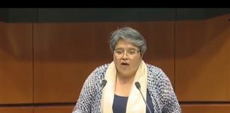 Comparece en el Senado titular de @SE_mx, Raquel Buenrostro.