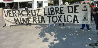 Otorgan suspensión definitiva a cuatro concesiones mineras en Veracruz