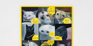 Entregan premios de la sexta bienal de Arte .