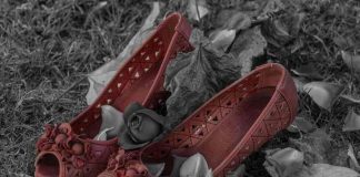 Cobertura de la violencia feminicida, miradas y posiciones: ¿Qué hay detrás de los titulares?