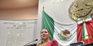 Propone Diputada actualizar concepto de parentesco por afinidad .