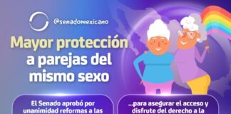 Mayor protección a parejas del mismo sexo @senadomexicano