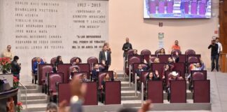 Convoca Congreso a la Secretaría de Salud para mejorar atención del cáncer infantil .