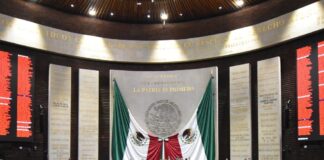 Diputados aprueban dictamen contradictorio que eliminaría «sexo» de las Actas de Nacimiento .