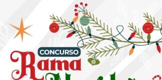 Ofrece Ayuntamiento de Xalapa amplia cartelera cultural .