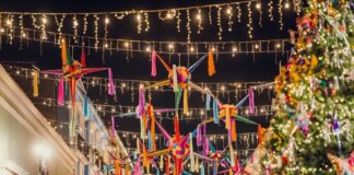 Advierte IMSS Veracruz Sur sobre accidentes decembrinos .