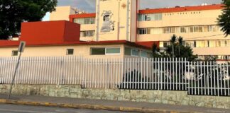 Niñas y niño, presuntamente contagiados de rabia, en estado crítico en #Oaxaca