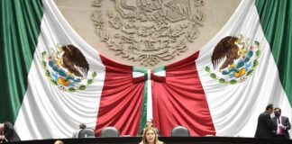 Legislan a favor de medidas para prevenir, detectar y atender enfermedades no transmisibles en niñas y niños .