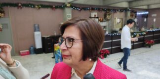 Cecilia Guevara será presidenta de la Comisión de Gobernación .